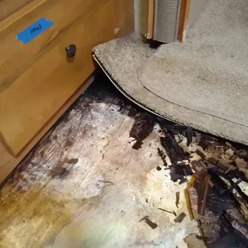 Best Wood Floor Water Damage Service in Swartz, LA